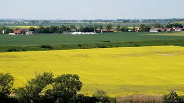 Przed Malborkiem- Kraśniewo