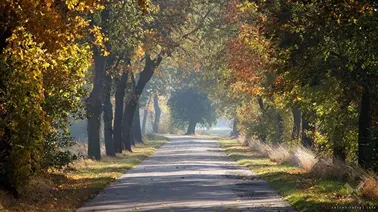 Żuławskie barwy jesieni