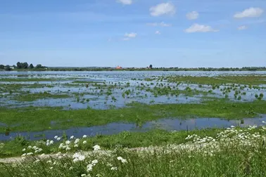 Polder zalewowy