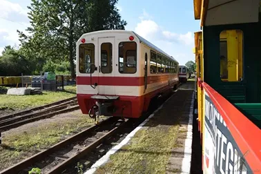 Żuławską Koleją Dojazdową i rowerem przez Wielkie Żuławy Malborskie