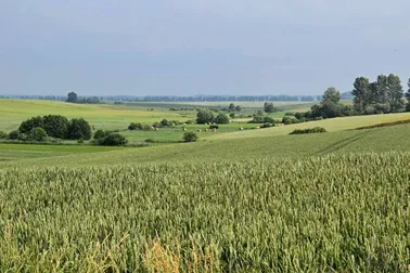 Górki i dolinki Dolnego Powiśla