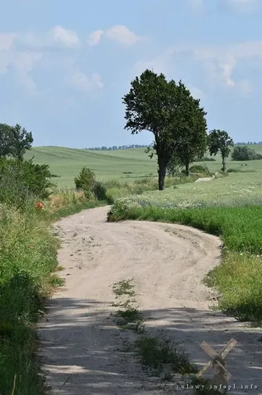 Dolne Powiśle