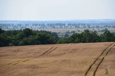 Dolne Powiśle