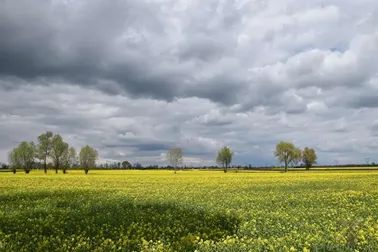 Widok na Nową Cerkiew