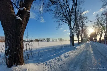 Pojezierze Dzierzgońsko-Morąskie