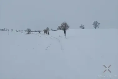 Pojezierze Dzierzgońsko-Morąskie