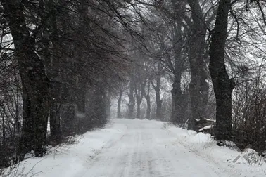 Pojezierze Dzierzgońsko-Morąskie