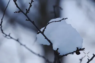 Pojezierze Dzierzgońsko-Morąskie