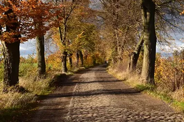 Pojezierze Dzierzgońsko-Morąskie