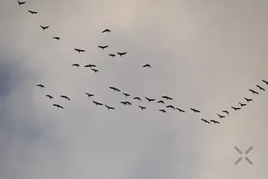 Pojezierze Dzierzgońsko-Morąskie