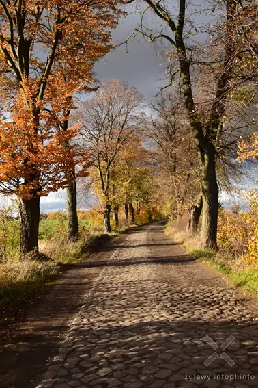 Pojezierze Dzierzgońsko-Morąskie