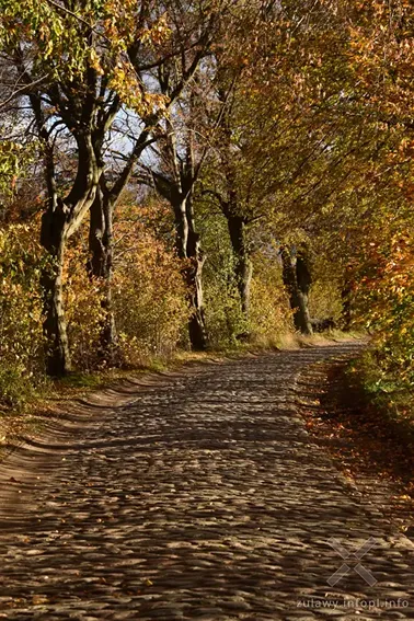 Pojezierze Dzierzgońsko-Morąskie