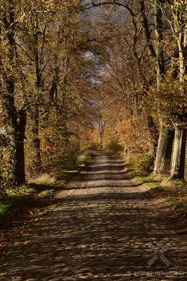 Pojezierze Dzierzgońsko-Morąskie