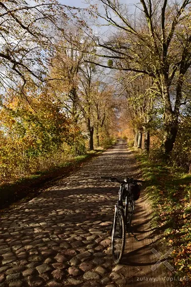 Pojezierze Dzierzgońsko-Morąskie