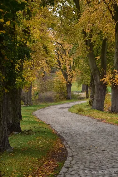 Pojezierze Dzierzgońsko-Morąskie