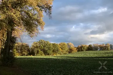 Pojezierze Dzierzgońsko-Morąskie