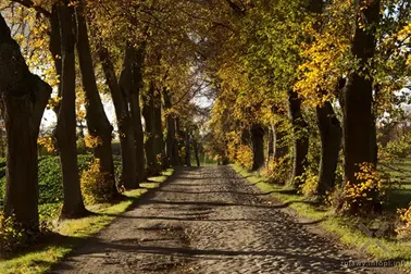 Pojezierze Dzierzgońsko-Morąskie