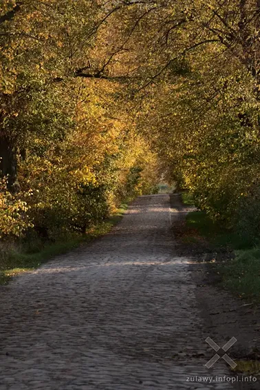 Pojezierze Dzierzgońsko-Morąskie