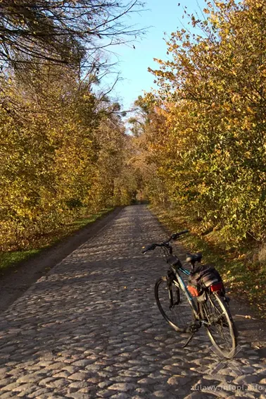 Pojezierze Dzierzgońsko-Morąskie