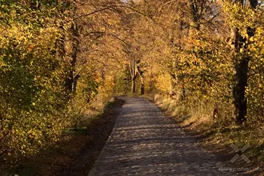 Pojezierze Dzierzgońsko-Morąskie