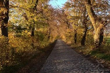 Pojezierze Dzierzgońsko-Morąskie