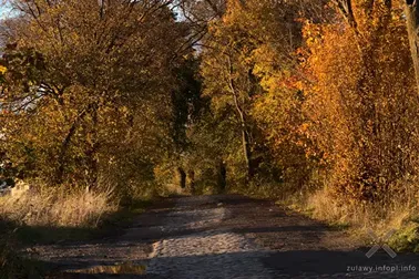 Pojezierze Dzierzgońsko-Morąskie