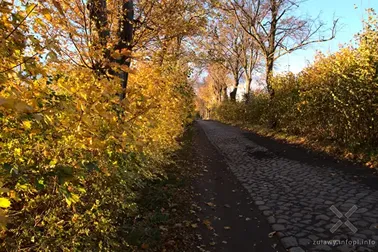 Pojezierze Dzierzgońsko-Morąskie