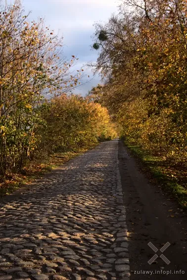 Pojezierze Dzierzgońsko-Morąskie