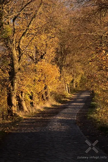 Pojezierze Dzierzgońsko-Morąskie