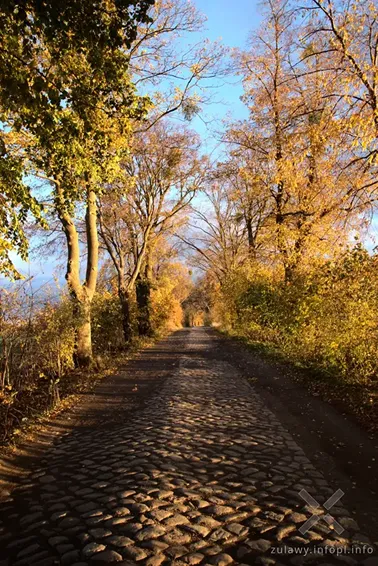 Pojezierze Dzierzgońsko-Morąskie