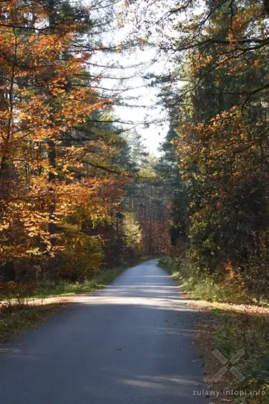 Dolne Powiśle