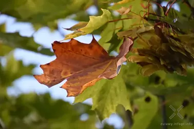 Pojezierze Dzierzgońsko-Morąskie