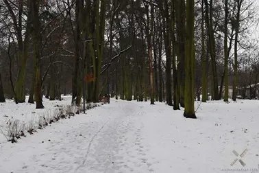 Malbork, zima