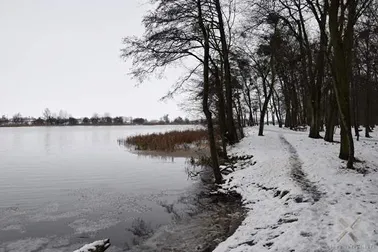 Malbork, zima