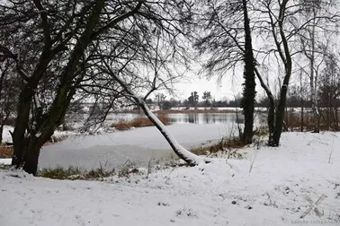 Malbork, zima