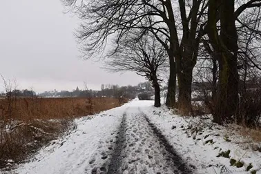 Malbork, zima