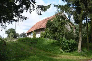 Próchnik