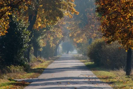 Żuławskie barwy jesieni