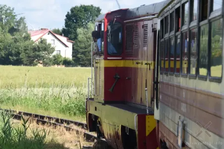 Żuławską Koleją Dojazdową i rowerem przez Wielkie Żuławy Malborskie