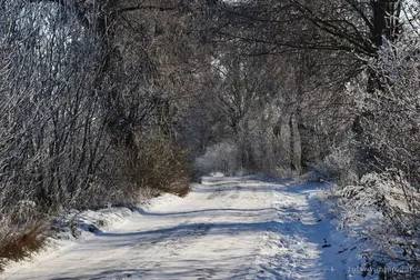 Dolne Powiśle