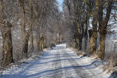 Dolne Powiśle