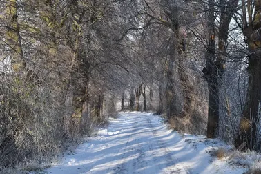 Dolne Powiśle