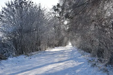 Dolne Powiśle