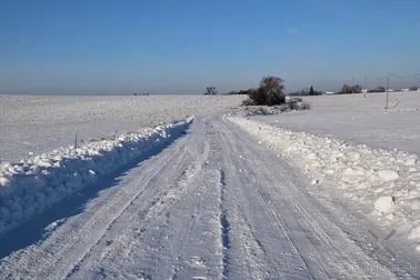 Dolne Powiśle