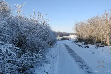 Dolne Powiśle