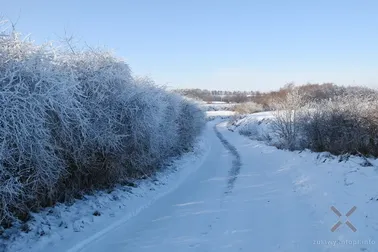 Dolne Powiśle