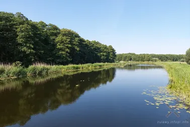 Letnie kolory Żuław Elbląskich