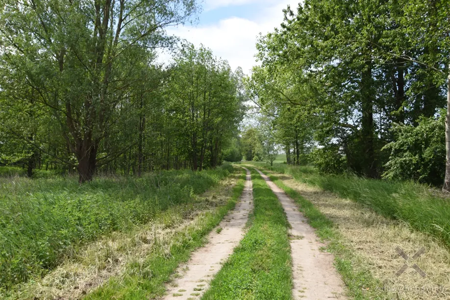 Niebieski szlak pieszy Sztum-Mikoszewo