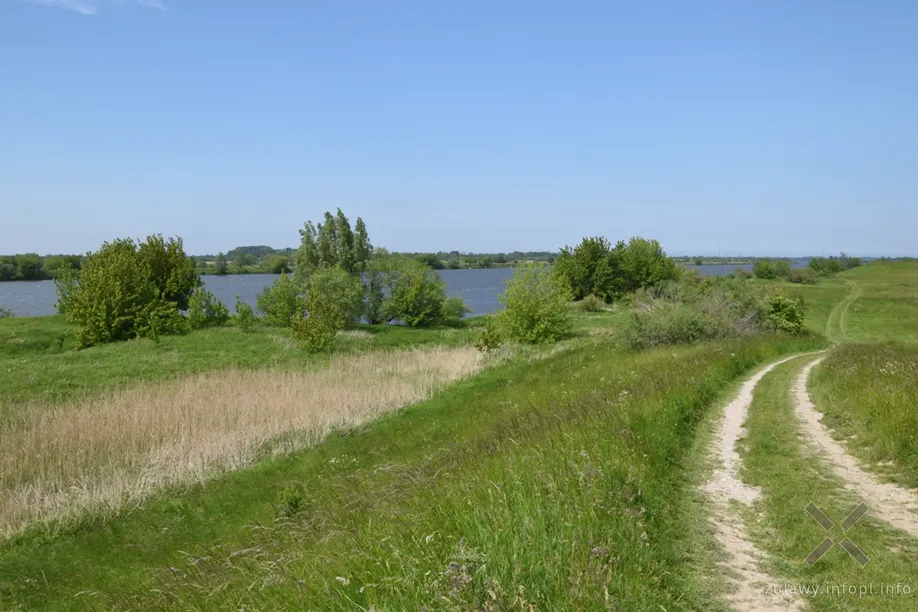 Niebieski szlak pieszy Sztum-Mikoszewo