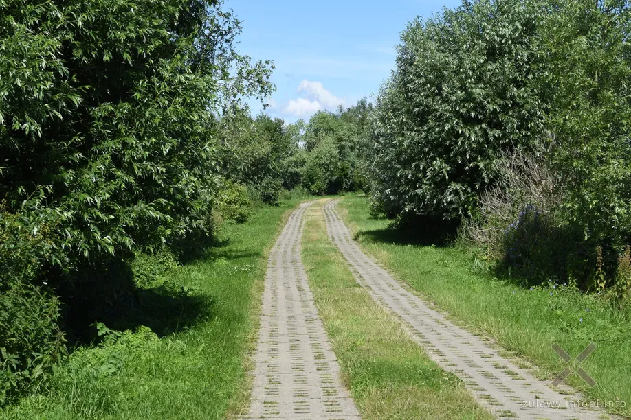 Aleja prowadząca do Półmieścia